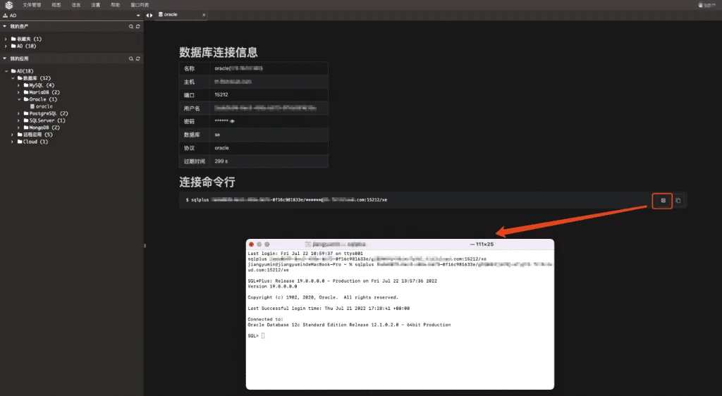 支持代理直连Oracle数据库，JumpServer堡垒机v2.24.0发布